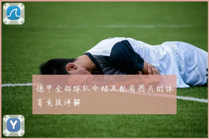 德甲全部球队介绍及配有图片的体育竞技详解