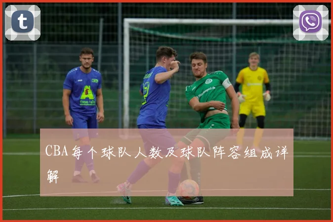 CBA每个球队人数及球队阵容组成详解