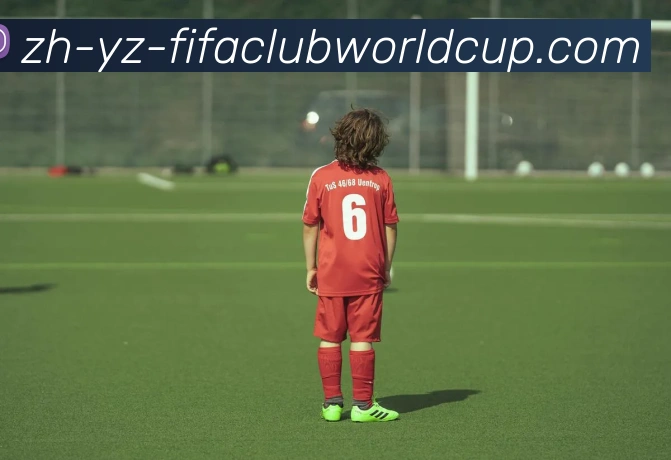 世界杯赛程服务体系