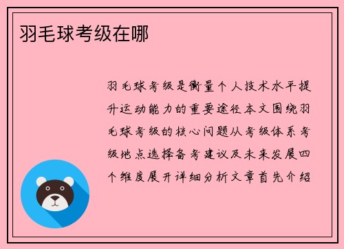 羽毛球考级在哪