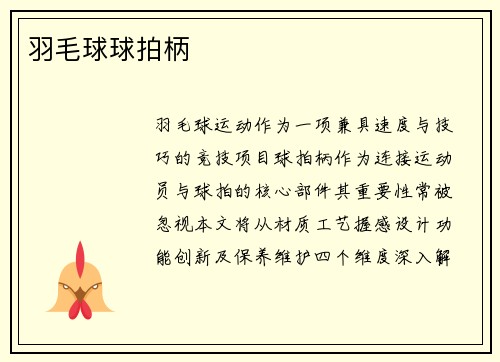 羽毛球球拍柄